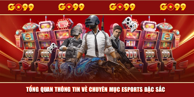 Tổng quan thông tin về chuyên mục Esports đặc sắc